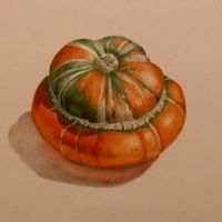 Turban Squash Marian Jackson MDA  Recorded Video
